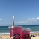 수영-305 이미지