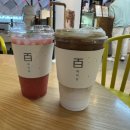 플레이팅 김포공항점 티엔루 | 김포공항 국내선 푸드코트 3층 식당 시간 카페 후기