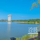 강릉놀거리 전기자전거 타고 경포호, 경포가시연습지 한바퀴~ 바이크스토리 이용후기