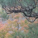 (주)엔코 이미지