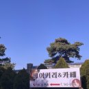 황금 목장 | [전북 김제 카페] 자연 속 놀이터, 말&amp;토끼 먹이체험...근교카페 소프라 내돈내산 솔직후기!(카이막 맛집)