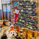 오비피씨(OBPC) 이미지