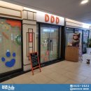 디디디 애견놀이방 이미지