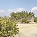 화명생태공원(화명운동장 내) 이미지