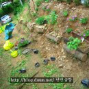 진선미화원 이미지