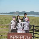 연봉초등학교 | 서천 신성리갈대밭 가을바람 솔솔