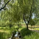 거창창포원 이미지