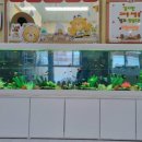 바다마을해군어린이집 이미지