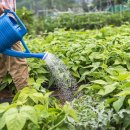 옥길농장 이미지