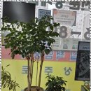 남양부동산중개 이미지