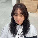 모브헤어 - 세종특별자치시 어울누리로 67 | 임동 미용실 모브헤어 임동점에서 젤리펌 받은 솔직한 후기와 현실 조언