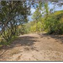 하천농장 이미지