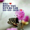 꽃피는날 이미지