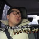 제주돌돗