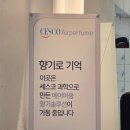 안녕 휘트니스 도당점 네이버블로그