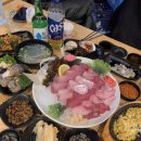 싱싱회관 | 부천 중동 대방어 맛집 싱싱회관｜스끼다시 구성·타 횟집 비교 후기