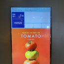 41190-01-07-214 | 에슐리 퀸즈 토마토 바질 2026 봄 신메뉴 후기