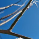 서종요양병원 이미지