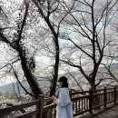 삼랑진양수발전소 | 도계동카페 뮤트, 밀양벚꽃 삼랑진 양수발전소, 삼문동 수변공원