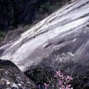 금수산 1016m 충북 제천시 수산면 - 단양군 적성면 이미지