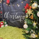 큐티하개_함 이미지