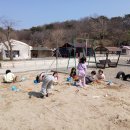 (주)한실관광농원 야영장 | 당진캠핑 당진 푸르미르관광농원에서의 힐링 캠핑 체험기