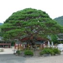 원진수지 이미지