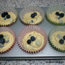 블루머핀 이미지