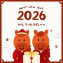 와이엔제이 네이버블로그