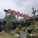 오향골송어 이미지