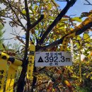 영등우미 이미지