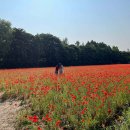 미사경정공원 이미지