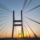 남당항 새조개축제 다녀온 후기