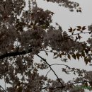 화정천동로2 이미지