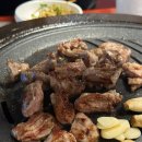 부산갈매기 | 대전 봉명동 맛집 고기 가성비 좋은 부산갈매기 방문후기