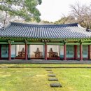 제주삼성의원 티스토리