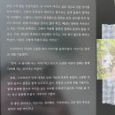 바다편의점 | 소설책 <바다가 들리는 편의점> 후기와 여름과 가을 사이의 생각