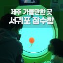 예래동 가가동 | 제주 아이랑 가볼만한 곳 🌊 비싸도 만족했던 서귀포 잠수함 후기