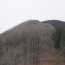 축령산 치유의 숲 안내센터 이미지