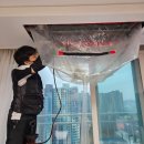 초록바람 | 대구 시스템에어컨 청소 달서구에서 안심하고 맡긴 초록숲홈케어 후기