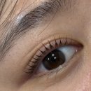 띵동이네 | 야탑 속눈썹펌 잘하는곳 | 솔직후기(띵동브로우)