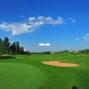 BEST 골프클럽 이미지