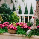 서울식물원 이미지