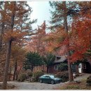 (주)대성에너지 황금LPG충전소 | [E1] 개성 깃든, 단풍 여행지