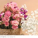 박완서가 쓴 노년의 연애, "정욕 없는 사랑은 겉멋일 뿐" 이미지