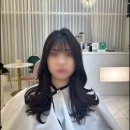 포유헤어 이미지