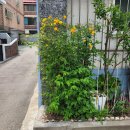 키친달팽이 이미지