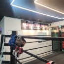 배방스타복싱 이미지