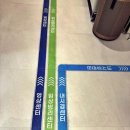 100세건강약국 - 강남구 헌릉로571길 7 | 강동 종합검진 복잡하지 않고 잘 다녀온 후기