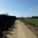 동일리-4 이미지